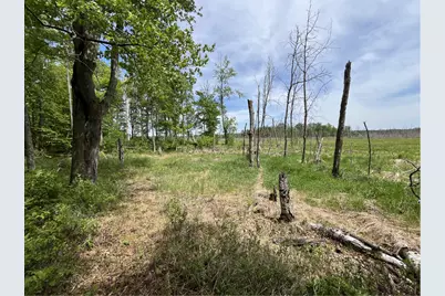13384 Sorenson Lake Road, Merrifield, MN 56465 - Photo 22