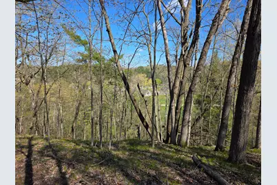 Xxx Wagon Trail Rd, Spring Valley, WI 54767 - Photo 4