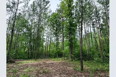 Tbd Half Moon Rd, Park Rapids, MN 56470 - Photo 6