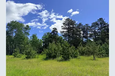 Tbd - 24.4 Ac County 4, Park Rapids, MN 56470 - Photo 20
