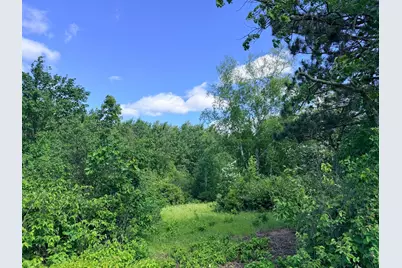 Tbd - 24.4 Ac County 4, Park Rapids, MN 56470 - Photo 8