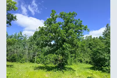 Tbd - 24.4 Ac County 4, Park Rapids, MN 56470 - Photo 16