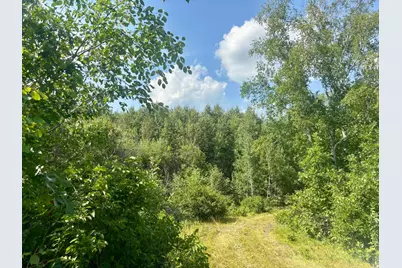 Tbd - 24.4 Ac County 4, Park Rapids, MN 56470 - Photo 12