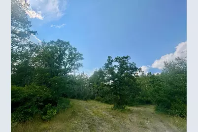 Tbd - 24.4 Ac County 4, Park Rapids, MN 56470 - Photo 22