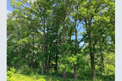 Tbd - 24.4 Ac County 4, Park Rapids, MN 56470 - Photo 14