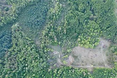 Tbd - 24.4 Ac County 4, Park Rapids, MN 56470 - Photo 6