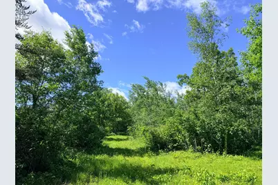 Tbd - 24.4 Ac County 4, Park Rapids, MN 56470 - Photo 12