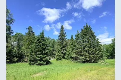 Tbd - 24.4 Ac County 4, Park Rapids, MN 56470 - Photo 16