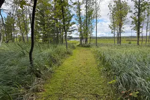 14701 Chokecherry Dr, Nevis, MN 56467 - Photo 22