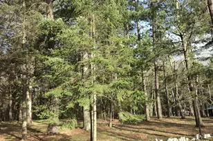 319 S Lake Lawrence Rd NE, Outing, MN 56662 - Photo 42