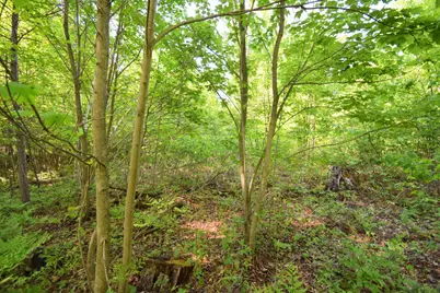 Lot 106 Setting Sun Court, Danbury, WI 54830 - Photo 18