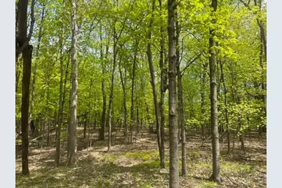 Tbd Maple View Court, Excelsior, MN 55331 - Photo 2