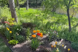 4830 Babcock Trail, Inver Grove Heights, MN 55077 - Photo 32
