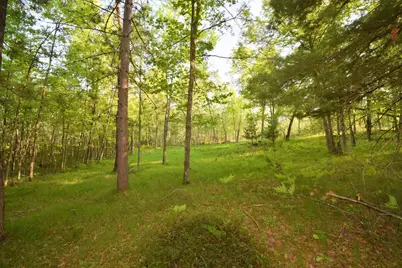 Lot 19 Aspen Hill Trailway, Webster, WI 54893 - Photo 8