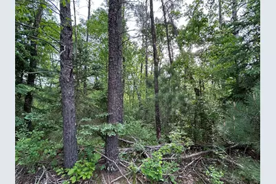 Tbd Front Street, Pine River, MN 56474 - Photo 4