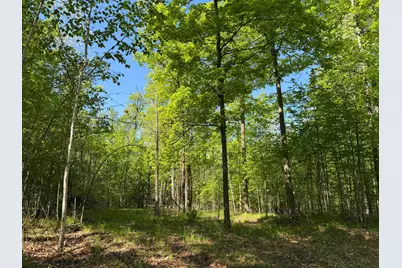 54003 Dollar Lake Road, Sandstone, MN 55072 - Photo 30