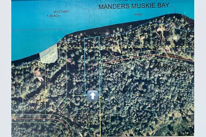 Tbd Muskie Bay Road NE, Longville, MN 56655 - Photo 14