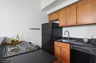 488 Wabasha St N, Saint Paul, MN 55102 - Photo 14