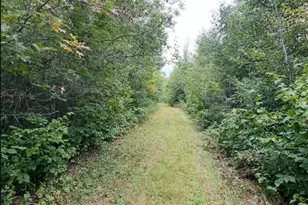 12157 Butternut Rd, Brainerd, MN 56401 - Photo 36