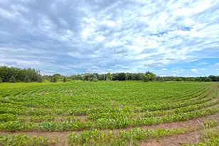 1383 120th St NE, Monticello, MN 55362 - Photo 74