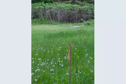 Tbd Lot 312 & 313 197th Ave, McGregor, MN 55760 - Photo 2