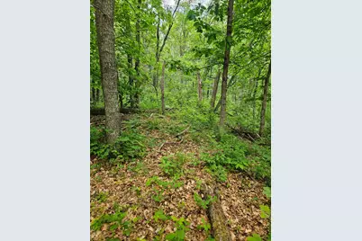 Parcel E Rogue Way, Ironton, MN 56455 - Photo 14