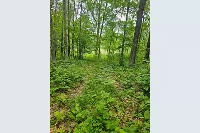 Parcel E Rogue Way, Ironton, MN 56455 - Photo 16