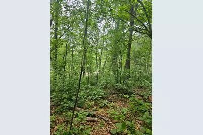 Parcel E Rogue Way, Ironton, MN 56455 - Photo 12