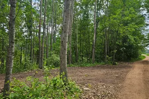 Parcel E Rogue Way, Ironton, MN 56455 - Photo 1