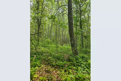 Parcel E Rogue Way, Ironton, MN 56455 - Photo 8