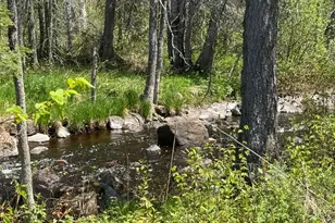Tbd Crown Creek Spur Rd, Finland, MN 55603 - Photo 1