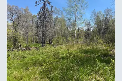 Tbd Crown Creek Spur Rd, Finland, MN 55603 - Photo 8