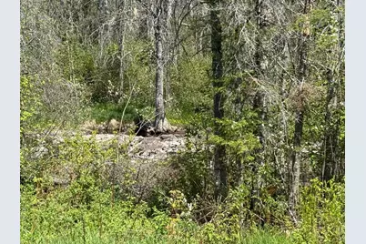 Tbd Crown Creek Spur Rd, Finland, MN 55603 - Photo 4
