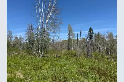 Tbd Crown Creek Spur Rd, Finland, MN 55603 - Photo 6