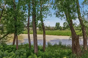 3351 N View Ln, Woodbury, MN 55125 - Photo 44