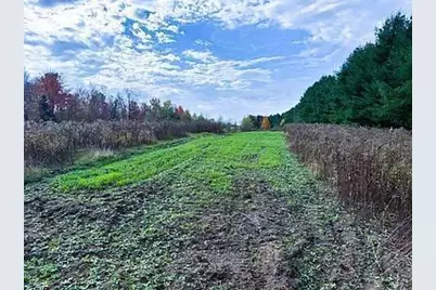 Na County Rd O, Bruce, WI 54819 - Photo 6