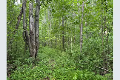 10551 Mallard Road, Brook Park, MN 55007 - Photo 28