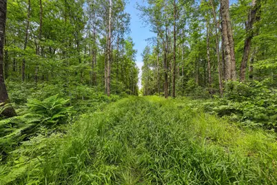 Lot 4 Csm 28/186, Radisson, WI 54867 - Photo 16