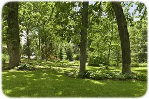 21527 Homestead Trail, Corcoran, MN 55340 - Photo 58