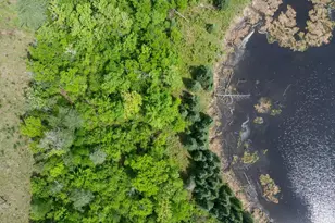 22668 299th Ave, Akeley, MN 56433 - Photo 22