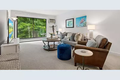 215 Barry Avenue S #218, Wayzata, MN 55391 - Photo 4