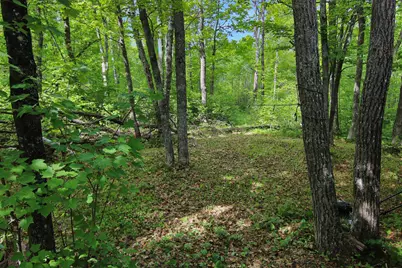 Tbd Crooked Lake Twp, Outing, MN 56662 - Photo 26