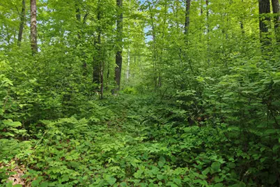 Tbd Crooked Lake Twp, Outing, MN 56662 - Photo 8