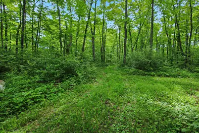Tbd Crooked Lake Twp, Outing, MN 56662 - Photo 6