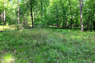 4294 Nod A Way Drive, Nisswa, MN 56468 - Photo 6
