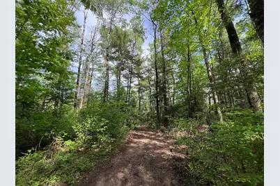 Lot 1 Smith Road N, Couderay, WI 54828 - Photo 22
