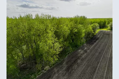 Tbd County Road 15, Montevideo, MN 56265 - Photo 10