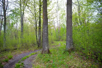 Tbd-20Ac Velvet Street, Sandstone, MN 55072 - Photo 18