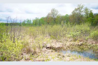 Tbd-20Ac Velvet Street, Sandstone, MN 55072 - Photo 64