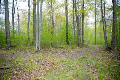 Tbd-20Ac Velvet Street, Sandstone, MN 55072 - Photo 38